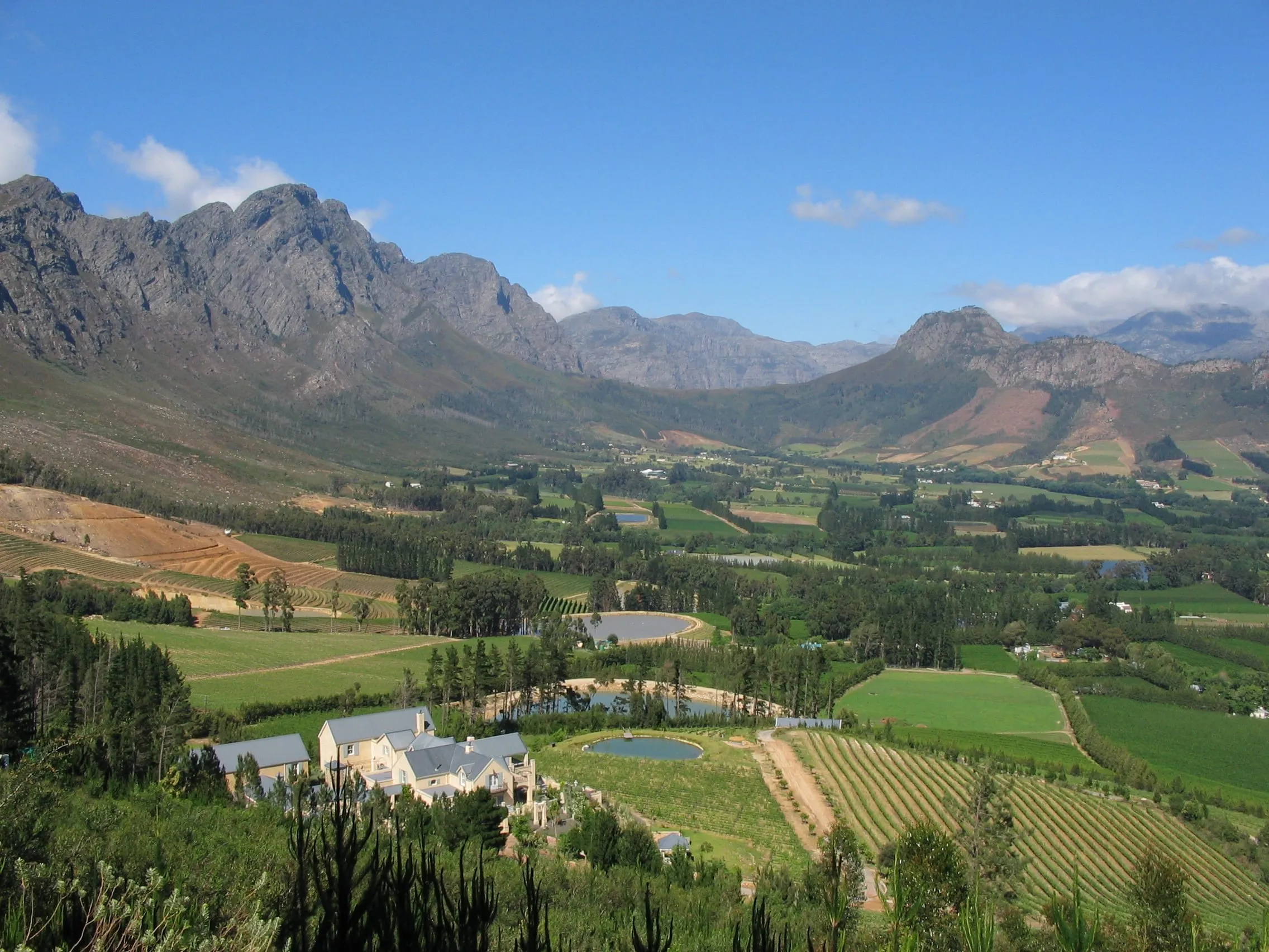 Vineyards in the Franschhoek valley, Western Cape, South Africa